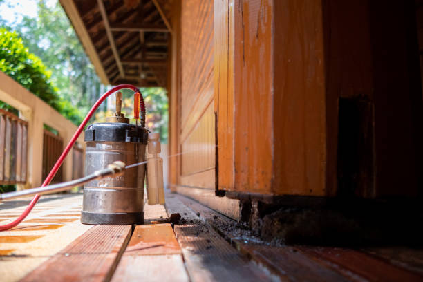 Best Pest Prevention Services  in Chino Valley, AZ