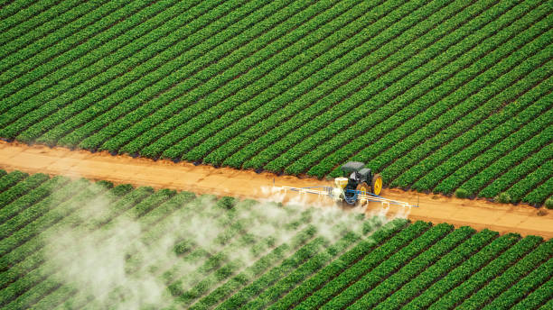 Best Insect Control  in Chino Valley, AZ